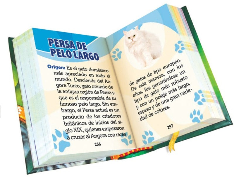 MINI LIBRO TODO SOBRE LOS GATOS