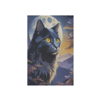 [DP] MIDNIGHT CAT 20X30CM